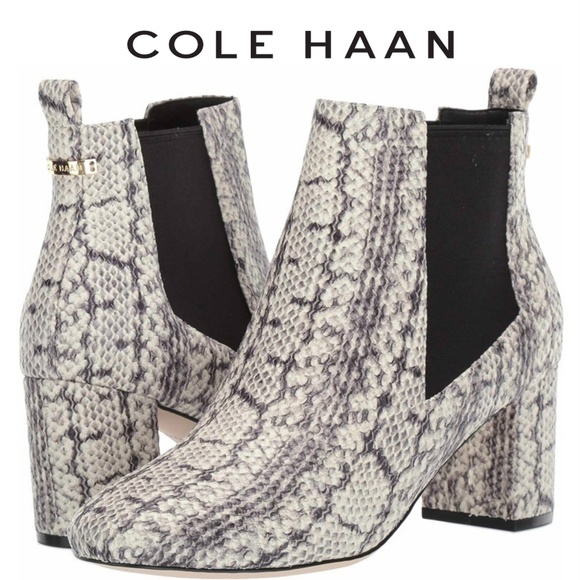 Cole Haan Nitasha Python Gray Leather Bootie Snake Ankle Chelsea Block Heel Boot - Picture 1 of 9